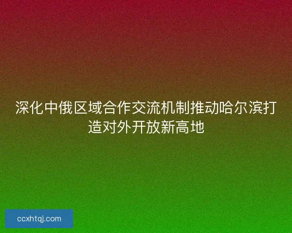 深化中俄区域合作交流机制推动哈尔滨打造对外开放新高地